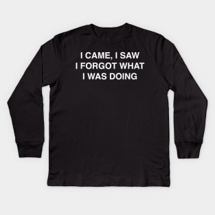 I CAME I SAW Kids Long Sleeve T-Shirt